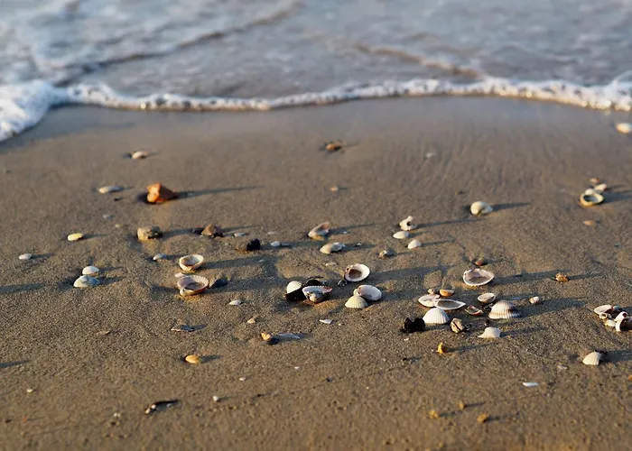 Elegant Located On The Gorgeous Coast Of Daire Bibione